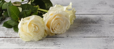 Beautiful Seasonal Flowers Banner